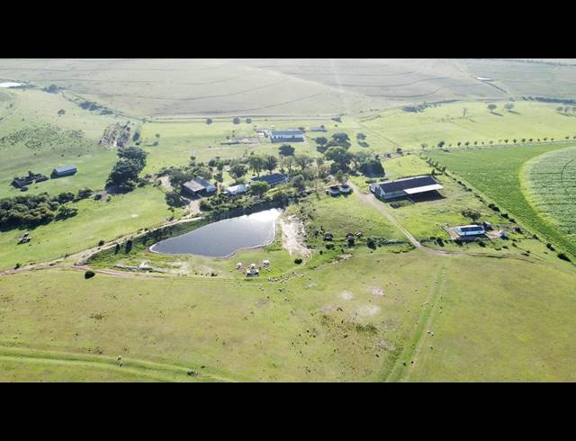 539HA FARM FOR SALE IN RIVERSDALE RURAL